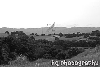 The Dish at Stanford Foothills black and white picture