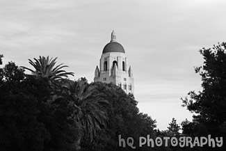 Hoover Tower at Dusk black and white picture