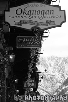 Shop Signs of Leavenworth black and white picture