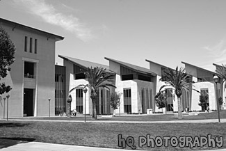 Santa Clara Library (Learning Commons) black and white picture