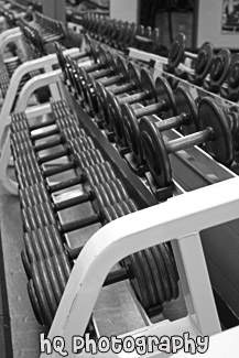 Line of Dumbbells black and white picture