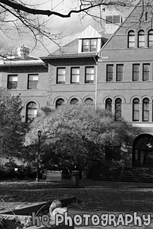 Brick Building and Squirrel at UW black and white picture