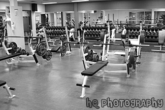 Free Weights Room black and white picture