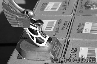 Shoe with Wings Trophey black and white picture
