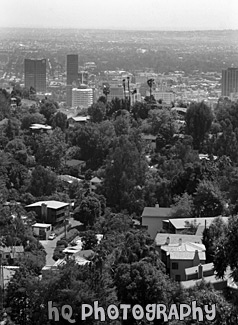 Hollywood View from a Hill black and white picture