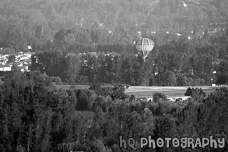 Hot Air Balloon Over Country Land black and white picture