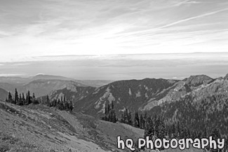 Olympic National Park View black and white picture