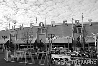 Seattle Center Fun Forest black and white picture