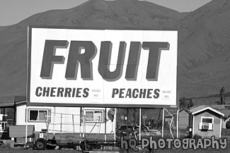 Fruit Sign off the Highway black and white picture