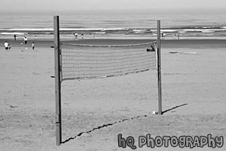 Beach Volleyball Net black and white picture