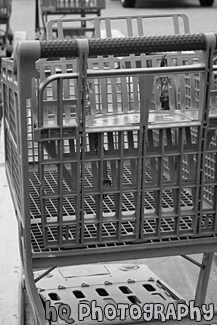 Back of Green Shopping Cart black and white picture