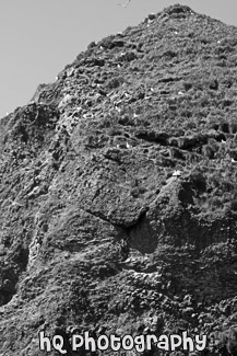 Haystack Rock up Close black and white picture