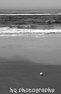 Tennis Ball on Beach black and white picture