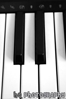 Piano Keys Close Up black and white picture