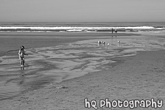 Beach, Seagulls & Child Playing black and white picture