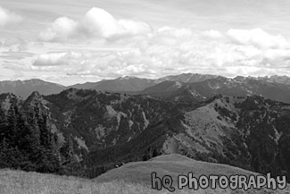 Olympic Mountain Ranges black and white picture