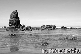 Seastacks & Rocks in Pacific Ocean black and white picture