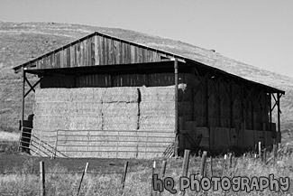 Hay Shed black and white picture