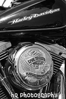 Harley Davidson Live to Ride black and white picture