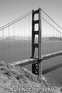 Golden Gate Bridge Vertical View black and white picture