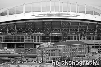 Qwest Field Football Stadium black and white picture