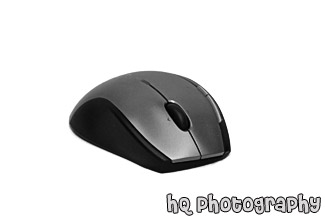 Computer Mouse black and white picture