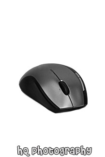 Black and Grey Computer Mouse black and white picture