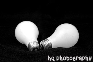 Light Bulbs black and white picture