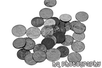 Coins on White Background black and white picture