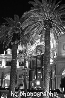 Forum Shops at Night black and white picture