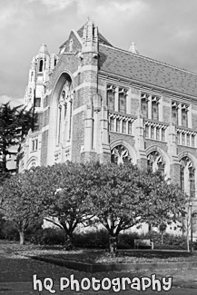 University of Washington Campus Building black and white picture