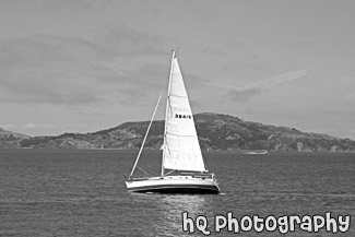 White Sailboat in San Francisco Bay black and white picture