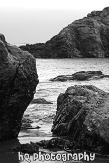 Rocks & Seaweed on Shore black and white picture