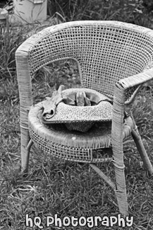 Hat & Gloves on Chair black and white picture