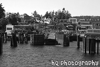 Friday Harbor Shore black and white picture