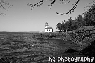 Lime Kiln Lighthouse & Branches black and white picture