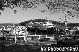 Friday Harbor Ferry Docking black and white picture