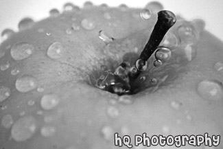 Water Drops on Apple black and white picture