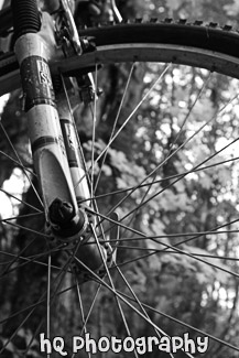 Mountain Bike Tire black and white picture