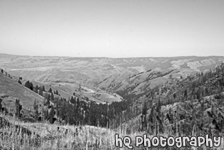 Idaho Hills black and white picture