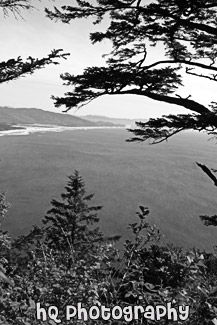 Oregon Coast & Pacific Ocean black and white picture