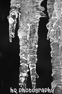 Icicles black and white picture