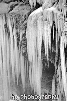 Long Thick Icicles black and white picture