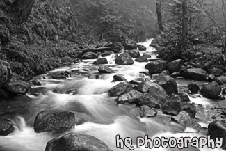 Multnomah Creek Streaming black and white picture