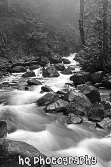 Multnomah Creek black and white picture