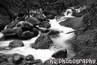 Multnomah Creek & Rocks black and white picture