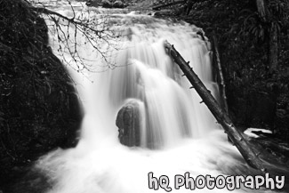 Little Multnomah Falls black and white picture