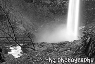 Elowah Falls & Bridge black and white picture