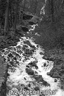 Wahkeena Falls black and white picture