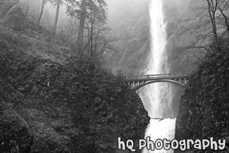 Multnomah Falls & Fog black and white picture